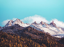 世界杯高清直播平台-解析K联4小龙战亚冠：两大豪门落寞 全北一枝独秀？